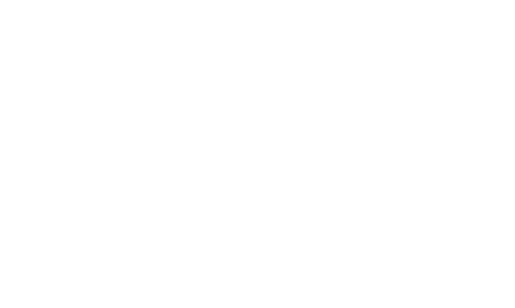 qlic